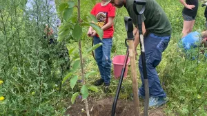 Zielony plac zabaw - interwencje małych ogrodników to zadanie, którego celem jest zazielenienie i odczarowanie terenu przed Domem Kultury Bydgoskie Przedmieście.