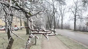 Kolejna nocz przymrozkami