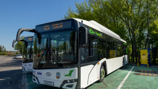 Ruszą autobusy do Kamionek