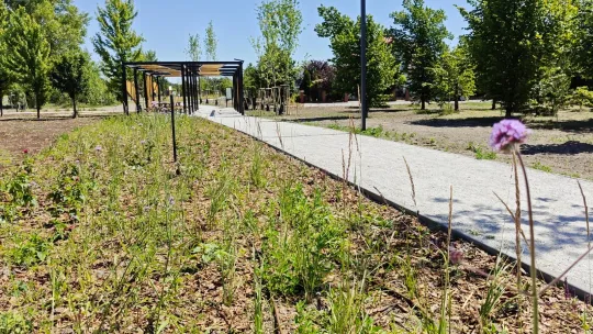Nowa przestrzeń rekreacyjna w Toruniu powstała przy ulicy Polnej: park linearny