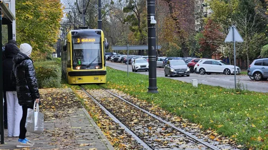 "Czarna szyna", zwana też madą, to śliska maź, która powstaje z połączenia wilgoci z kurzem, błotem, nasionami kwitnących roślin, skoszoną trawą czy innymi resztkami roślinnymi.