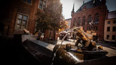 Rynek Staromiejski, na pierwszym planie figurka żaby z fintanny Flisaka