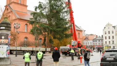 Choinka stanęła na Rynku Nowomiejskim