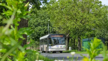 Autobusy wracają na stałą trasę