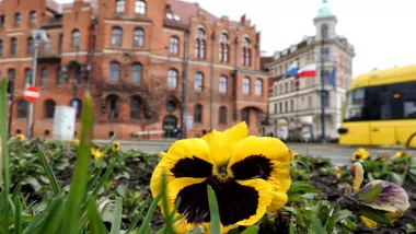 Pierwszy w Polsce wiosenno-letni tramwaj