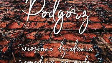 Wiosna na Podgórzu
