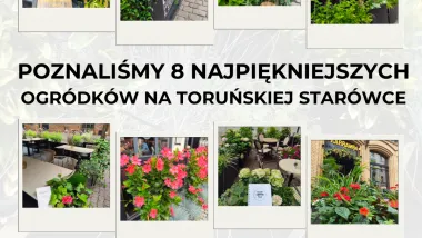 Najpiękniejszy ogródek starówki - grafika