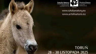 „Sztuka Natury” 2025  w Toruniu