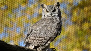 Feryjne warsztaty w Ogrodzie Zoobotanicznym