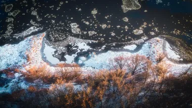 Inwentaryzacja przyrodnicza na zachodniej Winnicy