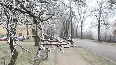 Kolejna nocz przymrozkami