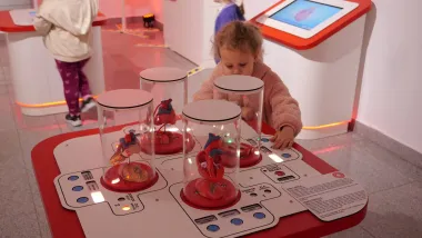 Wystawa "Serce - pompa doskonała"