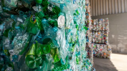 Międzynarodowy Dzień Zero Waste