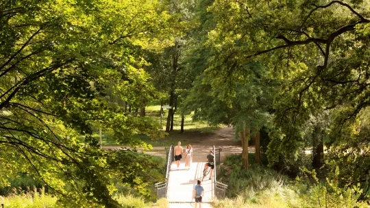 Park Miejski na Bydgoskim Przedmieściu