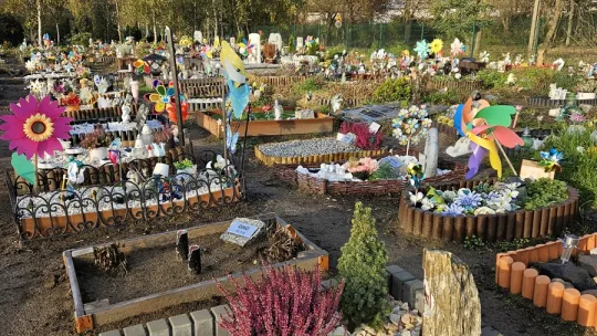 „Tęczowy Las” – miejsce pamięci dla zwierząt