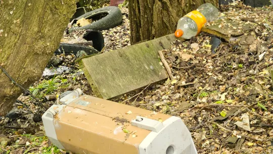 Międzynarodowy Dzień Bez Elektrośmieci 