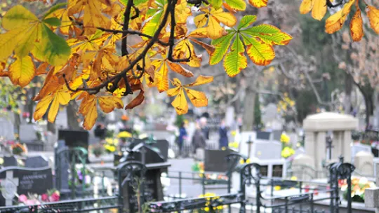 Wszystkich Świętych 2025: informator