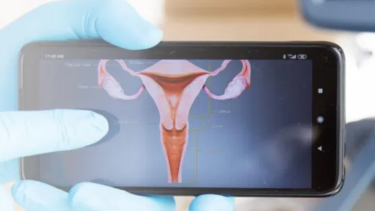 Bezpłatna cytologia w Toruniu