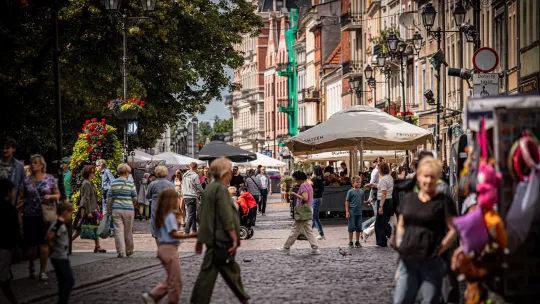 W kategorii miast na prawach powiatu na podium znalazły się Sopot, Płock oraz Opole. Toruń zanotował olbrzymi awans i okazał się najlepszym miastem w województwie kujawsko-pomorskim. 