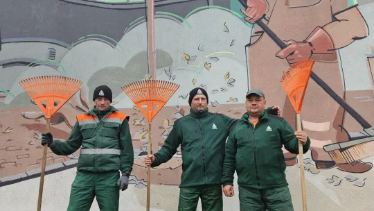 Liście na terenie miejskim zgłoś do MPO