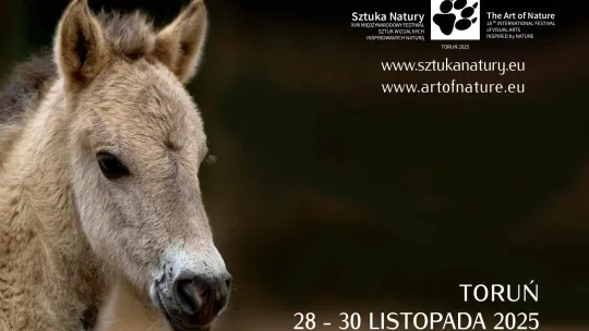 „Sztuka Natury” 2025  w Toruniu