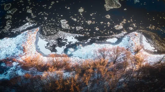 Inwentaryzacja przyrodnicza na zachodniej Winnicy