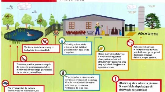 Informacja dla hodowców drobiu 