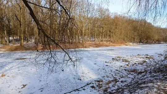 Zbiornik Martówka: na bieżąco prowadzimy działania