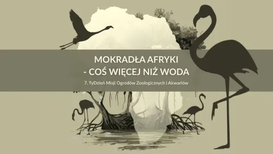  Tydzień Misji Ogrodów Zoologicznych i Akwariów w toruńskim zoo