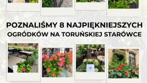 Najpiękniejszy ogródek starówki - grafika