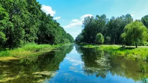 Do 24 listopada br. potrwa tzw. "bagrowanie" zbiornika Martówka.