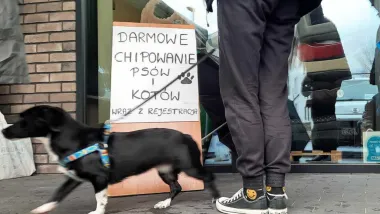 Oznakuj swojego pupila