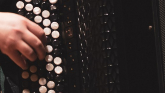 Ręka artysty na klawiaturze akordeonu.