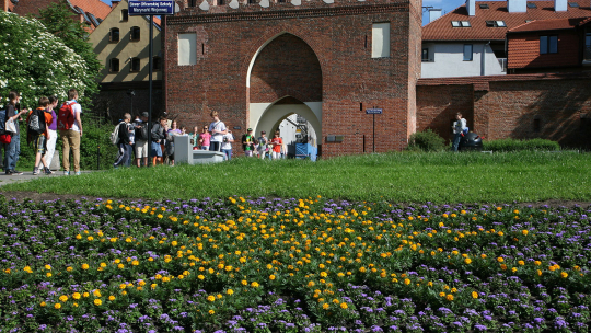 Kwiatowe dywany zdobią Toruń