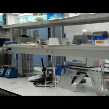 Tak się robi biznes w Toruniu #6 – Laktoferyna: złoto z mleka