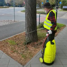 Od wtorku na alei Jana Pawła II trwają prace związane z zabiegami mikoryzacji i oprysku kwasami humusowymi.