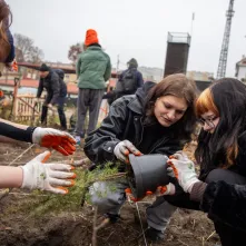 9 listopada 2024 r. u zbiegu ulic Lindego i Słowackiego, na skraju tzw. Zajęczych Gór, nasadzono gęsto 660 drzew i krzewów wyłącznie rodzimych gatunków, tworząc mikrolas japońską metodą Miyawaki. 