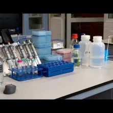 Tak się robi biznes w Toruniu #6 – Laktoferyna: złoto z mleka