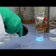 TAK SIĘ ROBI BIZNES W TORUNIU # 2 Noctiluca SA