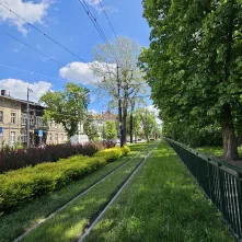 Tramwajem po zielonych torowiskach