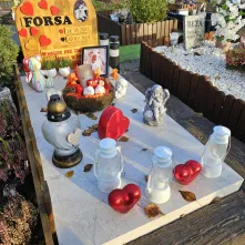 „Tęczowy Las” – miejsce pamięci dla zwierząt