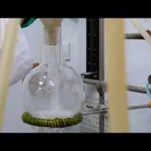 TAK SIĘ ROBI BIZNES W TORUNIU # 2 Noctiluca SA