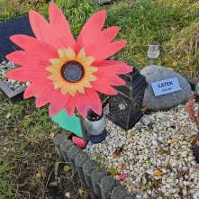 „Tęczowy Las” – miejsce pamięci dla zwierząt