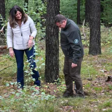 Radni sadzą drzewa na Bielawach – z myślą o przyszłości