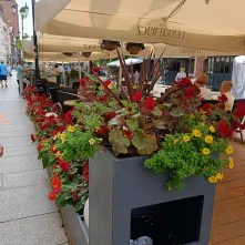 Coctail Bar Lenkiewicz, Rynek Staromiejski 33/34 