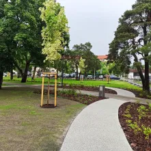 Park kieszonkowy przy skrzyżowaniu ul. Gagarina i ul. Sienkiewicza 