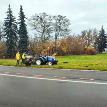 Zakończyło się sadzenie roślin cebulowych w kilku punktach Torunia. 