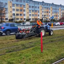 Zakończyło się sadzenie roślin cebulowych w kilku punktach Torunia. 