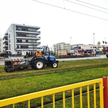 Zakończyło się sadzenie roślin cebulowych w kilku punktach Torunia. 