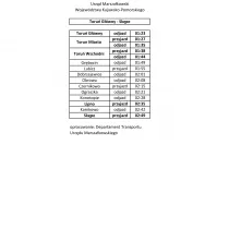 Specjalne pociągi odwiozą uczestników Sylwestrowej Mocy Przebojów